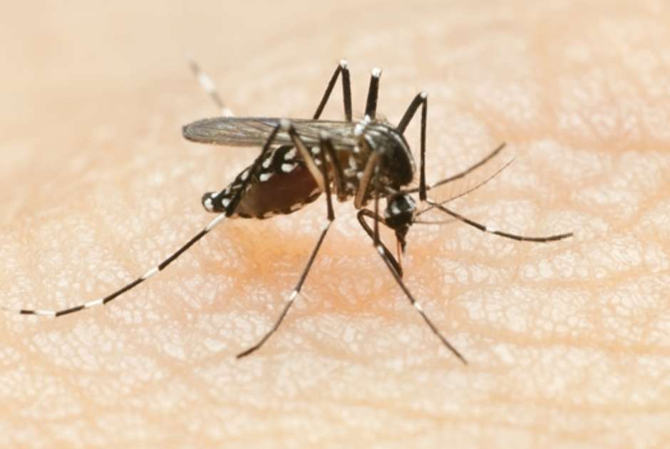 Secretaria de Saúde de Campina Grande realiza ação de combate ao Aedes Aegypti no município