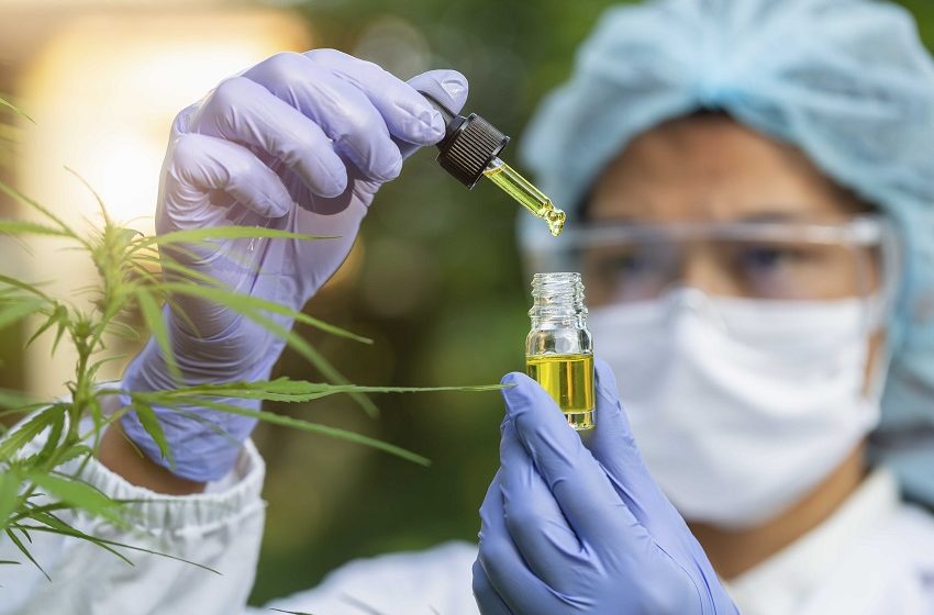  Novas regras podem acelerar o crescimento do mercado de cannabis medicinal no Brasil 
