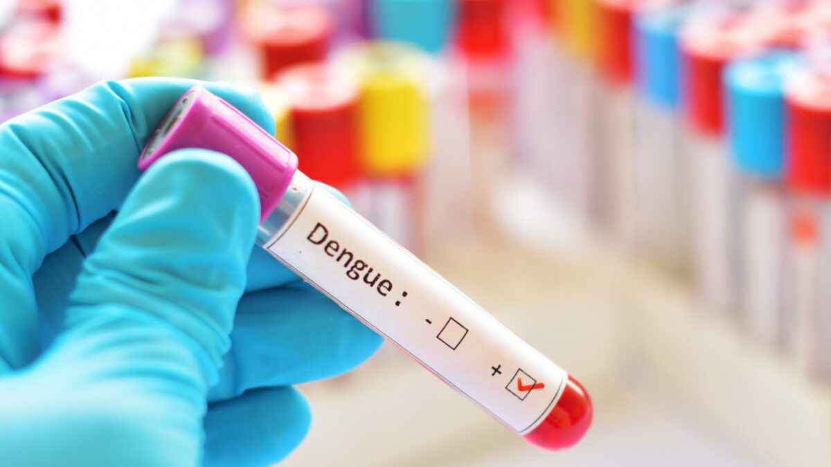 Risco de morte por dengue é 8 vezes maior entre pessoas idosas