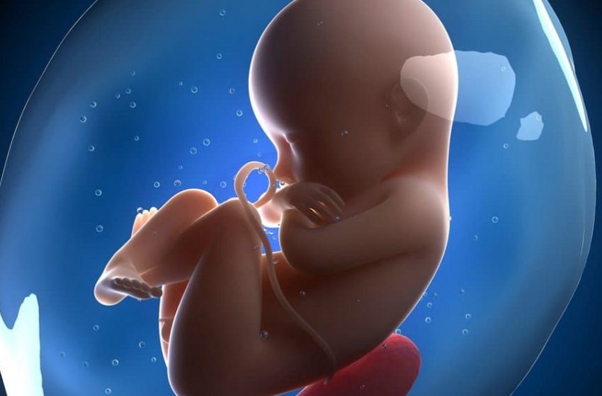 Pesquisadores corrigem genes de embriões humanos em laboratório 