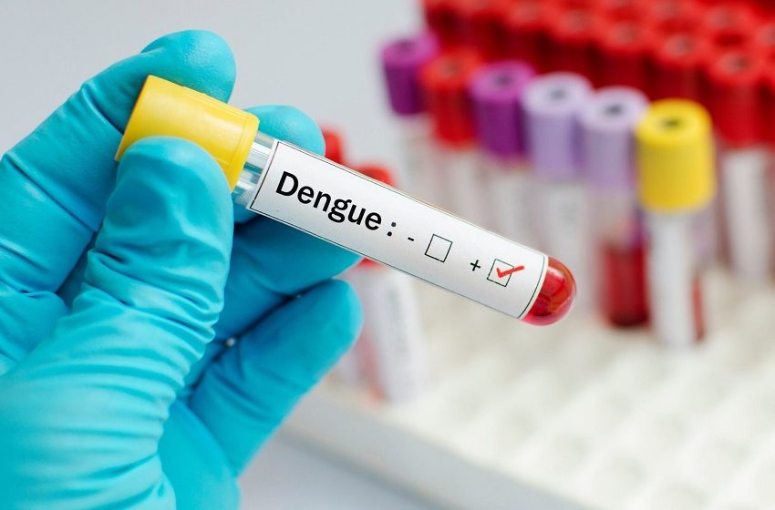  Positividade de dengue cai para 9,4% no início do ano, destaca Abramed 