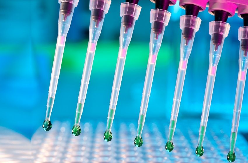  Ease Labs e CERTBIO firmam parceria para desenvolver medicamento a partir de psicodélico 