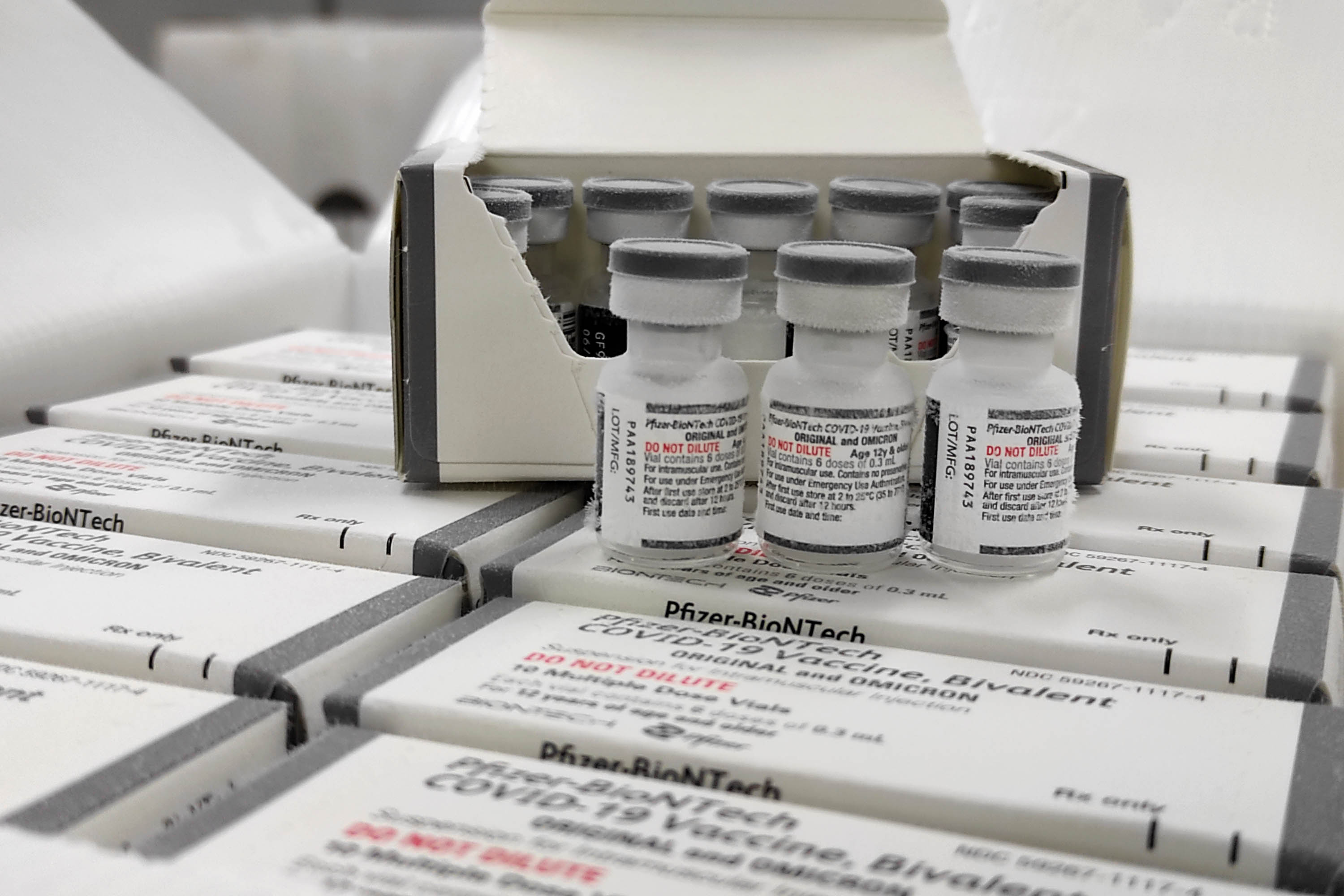 Doze municípios paraibanos ainda não aplicaram nenhuma dose da vacina bivalente contra covid-19
