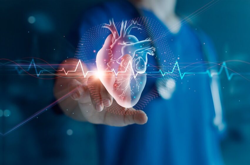  Má alimentação causou 4 milhões de mortes por cardiopatia isquêmica 