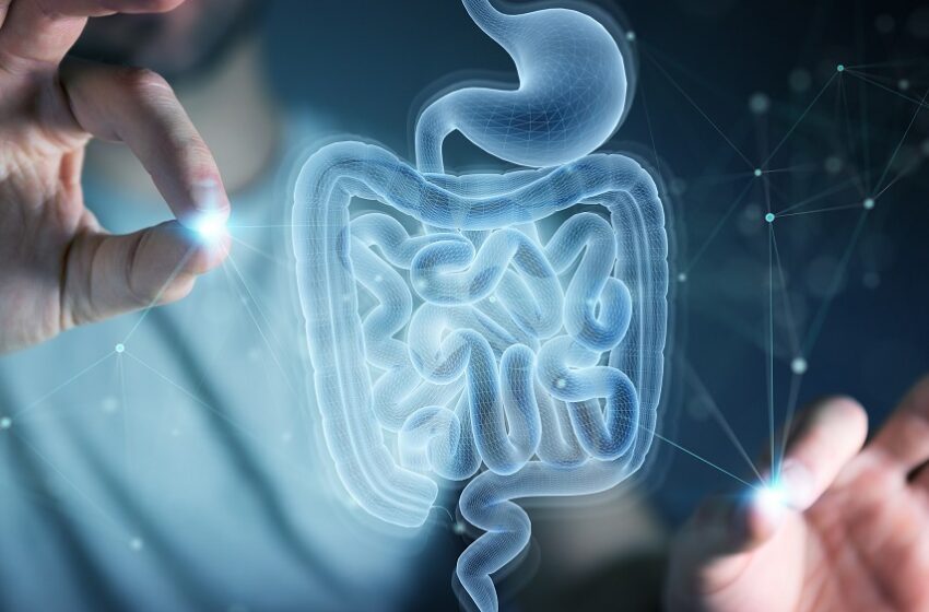  Projeto cria normas para tratamento da doença de Crohn no SUS 