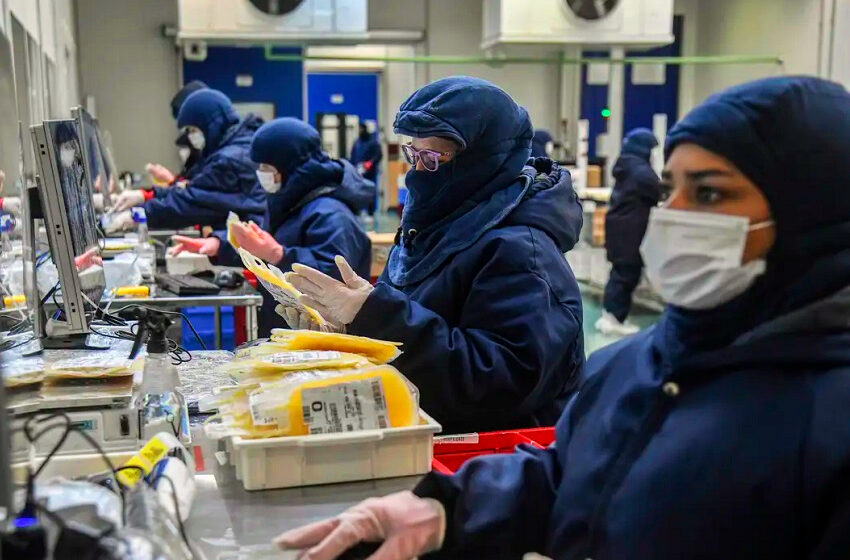  Coleta de plasma bate recorde em dez meses de 2024 