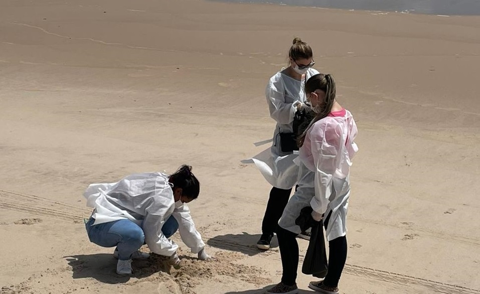 Pesquisadores da UFPB identificam parasitas intestinais em 10 trechos de praias da Paraíba