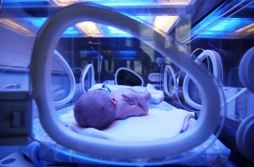 Projeto cria programa no SUS para proteger saúde cerebral de bebês 