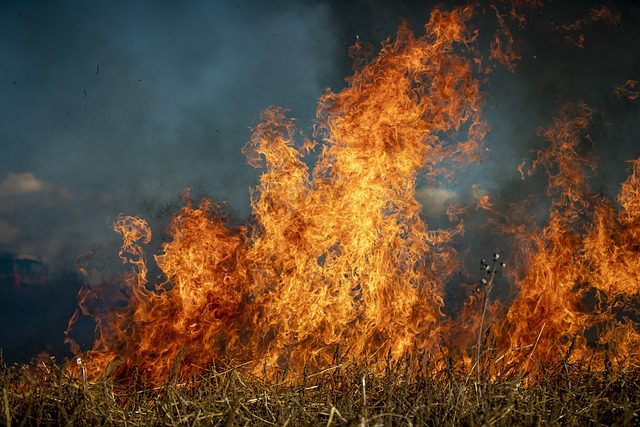 Incêndio e baixa umidade prejudicam o sistema respiratório; saiba como minimizar os impactos