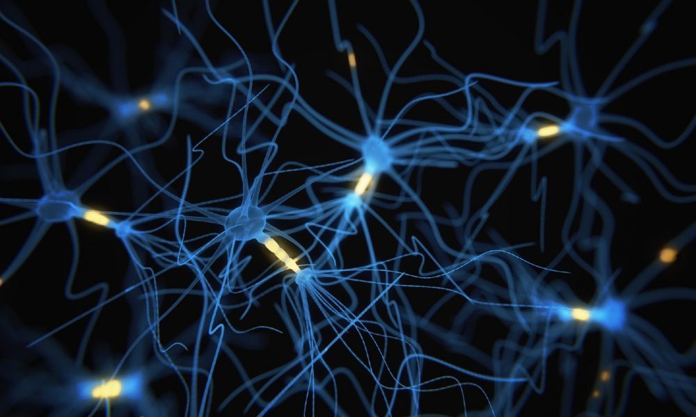 Neurônios podem ajudar no tratamento de câncer, aponta estudo