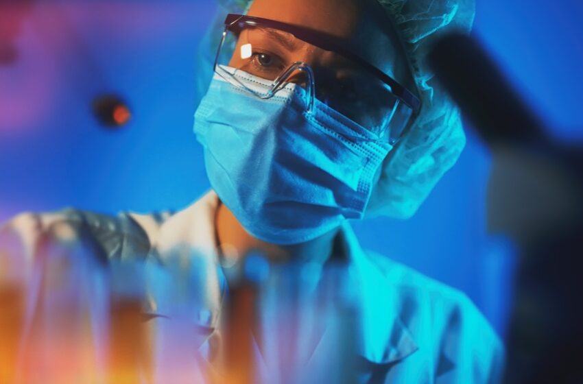  Vírus Oropouche já infectou mais de 5 milhões de pessoas no Brasil 