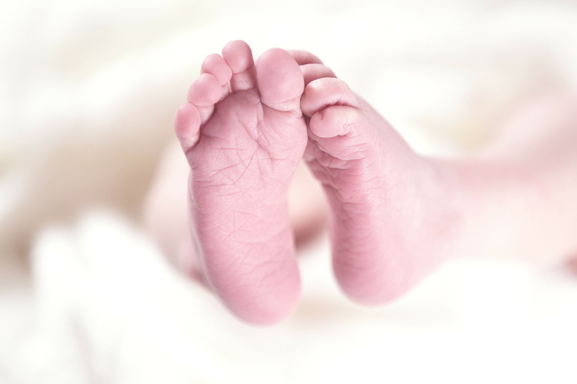Promotoria investiga doação de kits para bebês e gestantes em Bayeux às vésperas das eleições