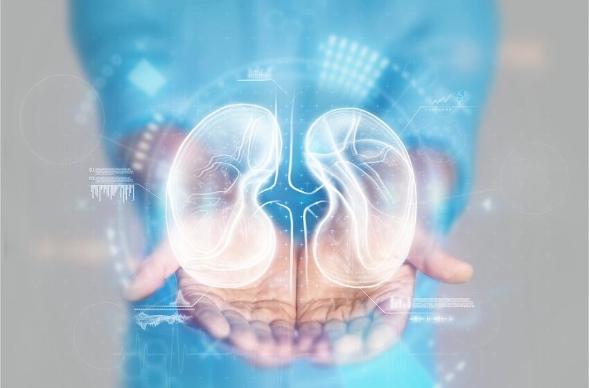  Só 10% dos brasileiros lembram que o diabetes pode afetar os rins 
