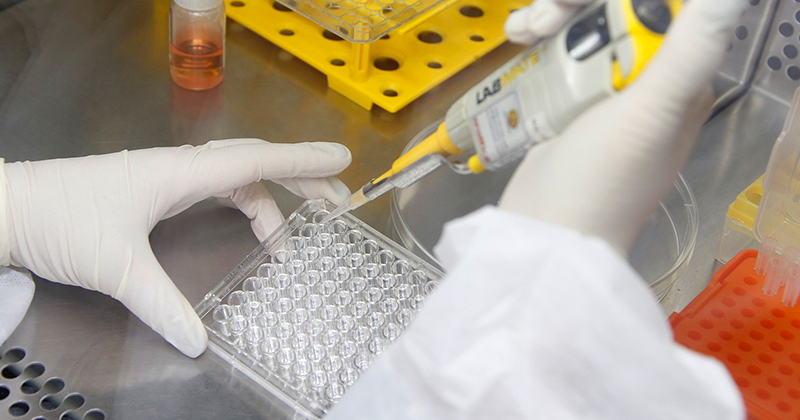 Encontro apresenta novas ferramentas da biotecnologia aplicadas à saúde
