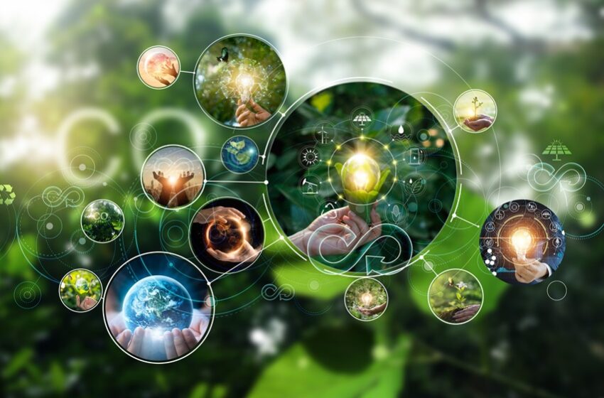  Hospital Pequeno Príncipe se torna a primeira instituição de saúde a adquirir créditos de biodiversidade 