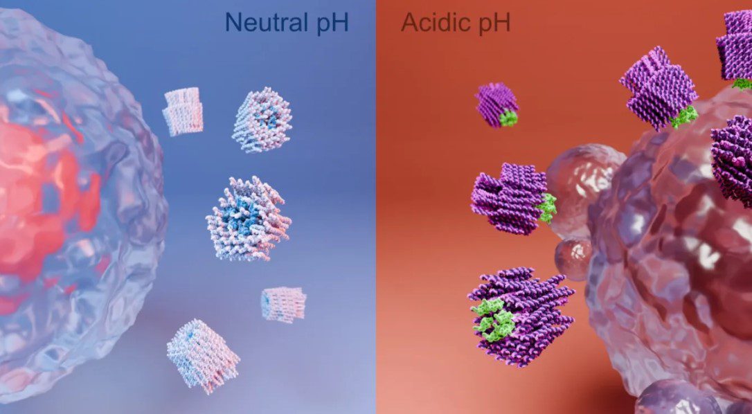 Cientistas desenvolvem nanorrobôs que podem ‘matar’ células cancerígenas