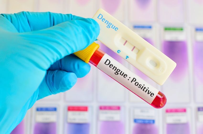  Alta de positividade para dengue no brasil bate recorde desde maio 