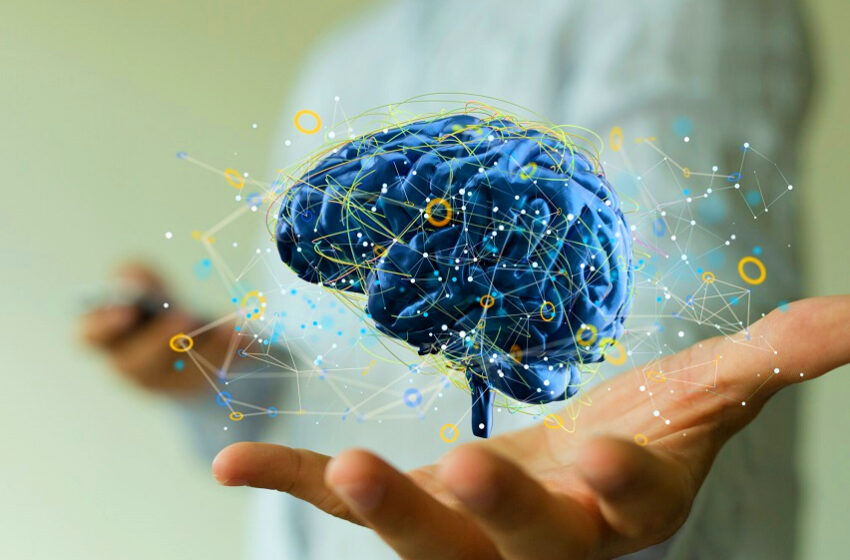  Guia traz orientações sobre direitos de pacientes com doenças neuromusculares raras 