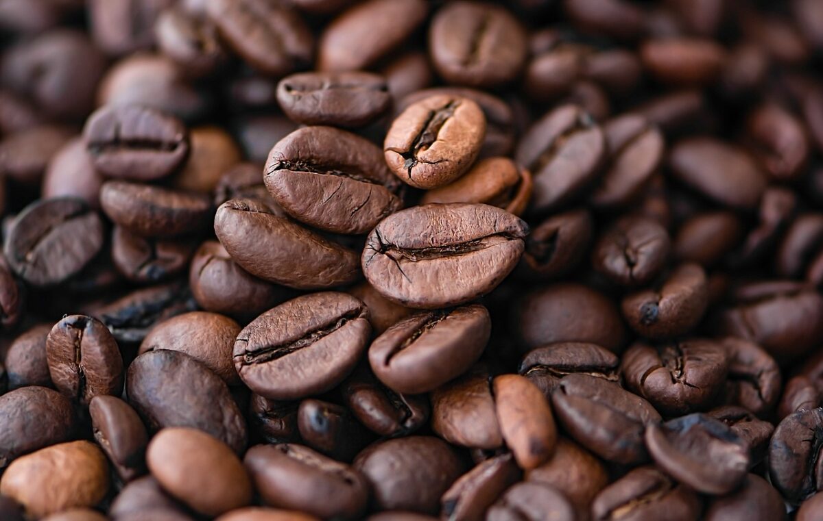 Governo reprova três marcas de café por serem impróprias para consumo