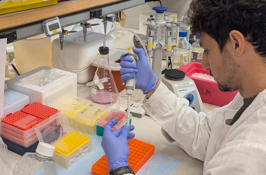  Pesquisa inédita revela como reverter danos em neurônios da ELA 