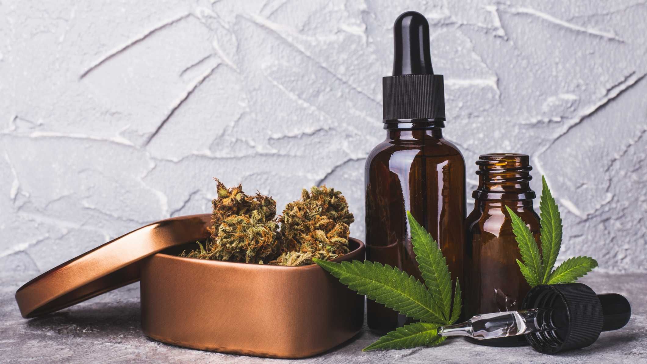  Relembre marcos dos 10 anos de cannabis medicinal no Brasil 