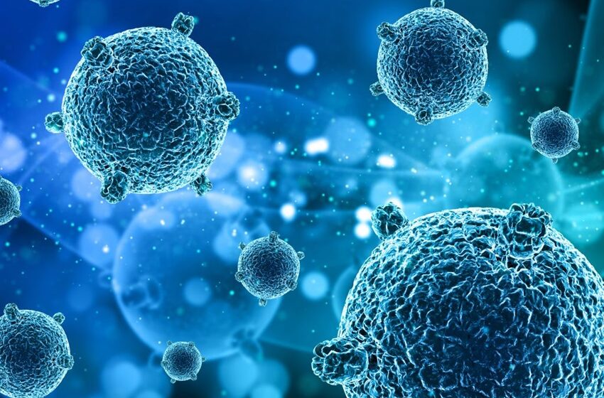  Combinação de terapia fotodinâmica com antibióticos potencializa efeitos contra superbactérias hospitalares 