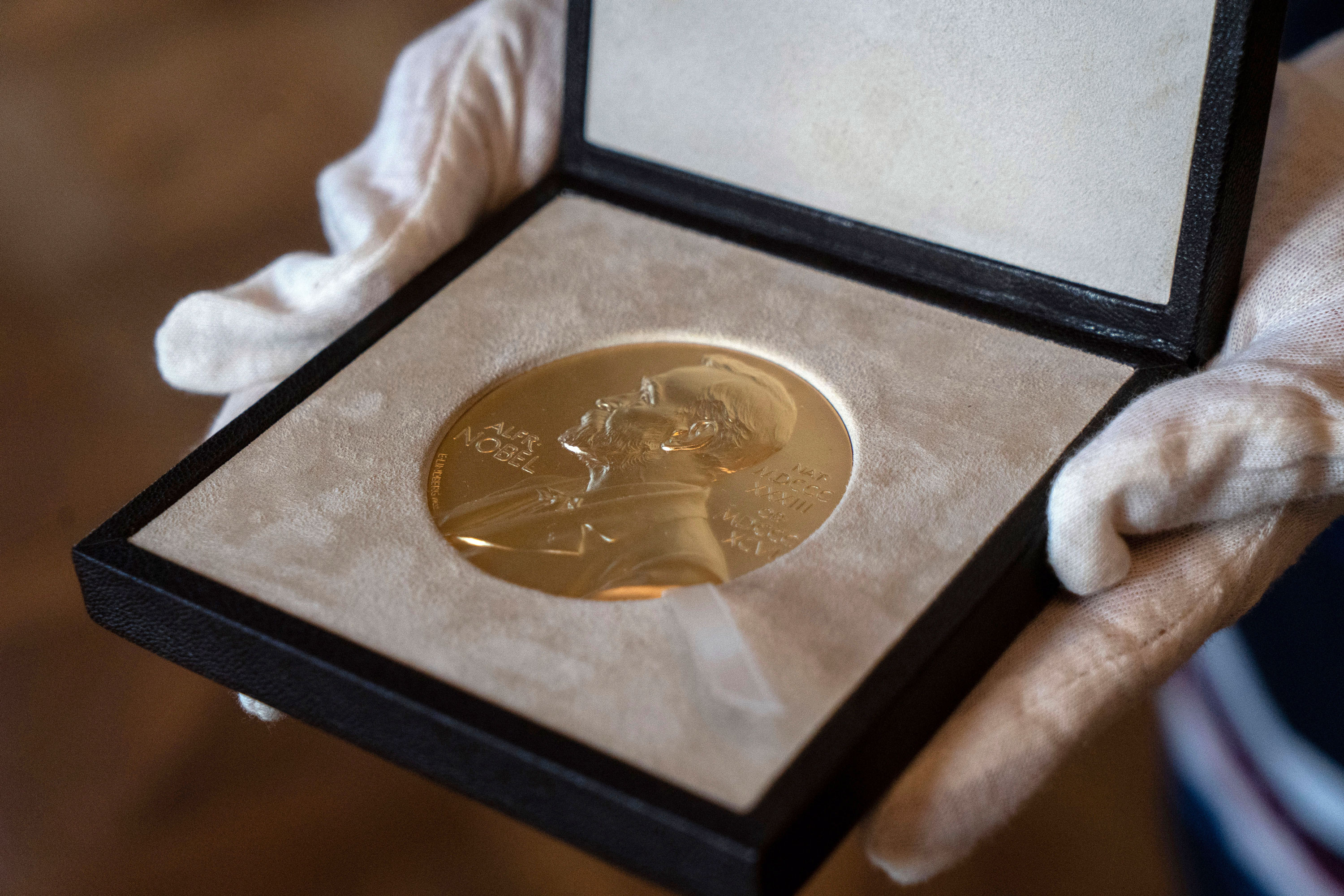  Conheça brasileiros que já foram indicados ao Nobel de Física, Química e Medicina 