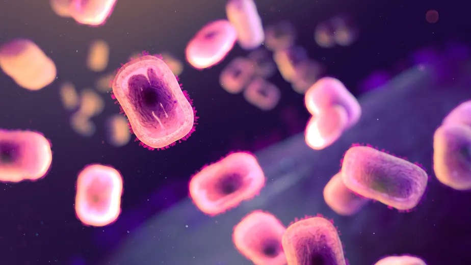 Varíola dos macacos: novo estudo afirma que doença pode agravar HIV