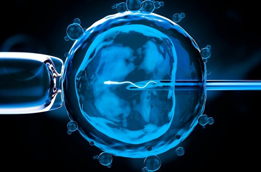  Entenda como a IA está revolucionando a fertilização in vitro 