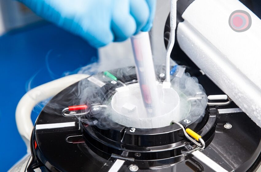  55% das brasileiras desconhece opções de preservação da fertilidade 