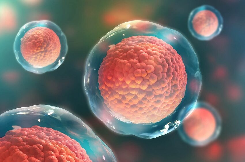  CAR-T: pesquisa identifica alvos para melhorar eficácia da terapia 