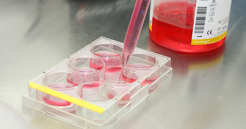 Tecnologia da vacina contra a covid-19 é estudada para HIV e câncer