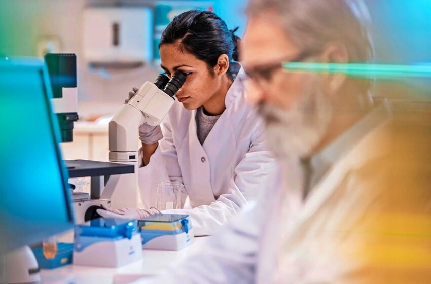  FAPESP e Universidade de Illinois lançam edital para pesquisa em câncer 