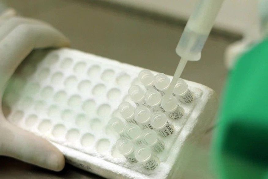  Anvisa autoriza nova fase de testes de vacina chinesa para covid-19