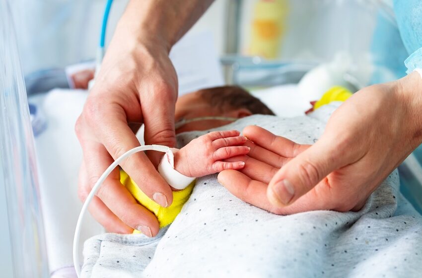  Projeto de lei restringe uso de manipulados em UTIs neonatais 